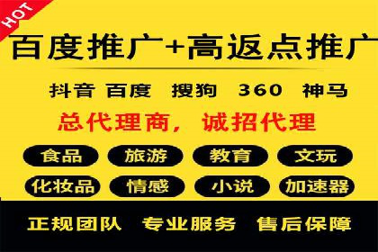 案例研究：百度竞价广告投放效果